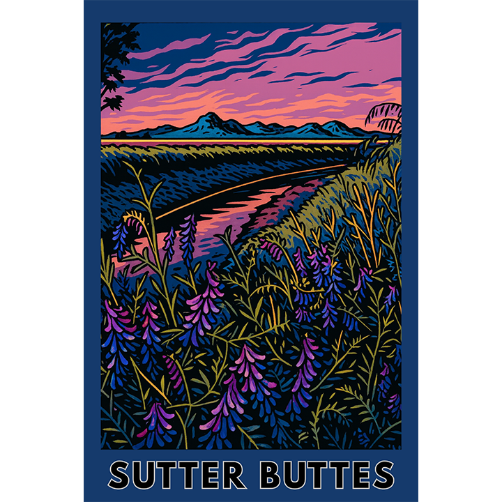 Sutter Buttes #1 - 131