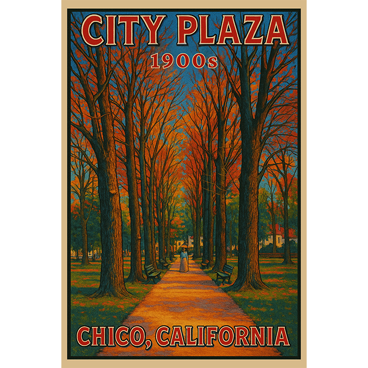 Chico City Plaza 1900 #152