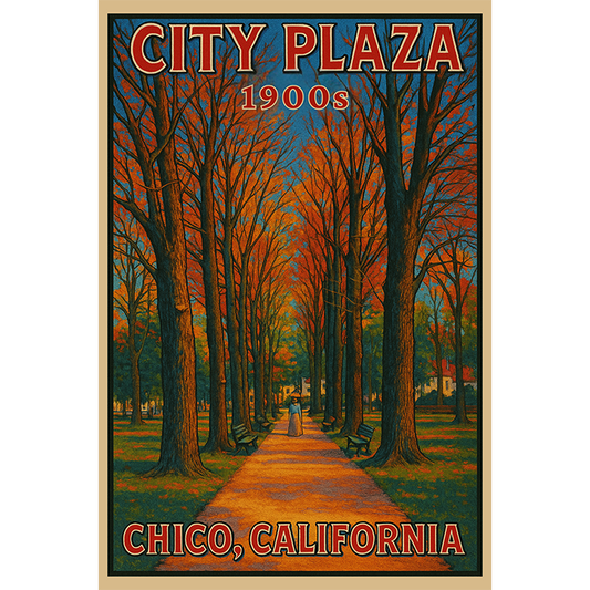 Chico City Plaza 1900 #152