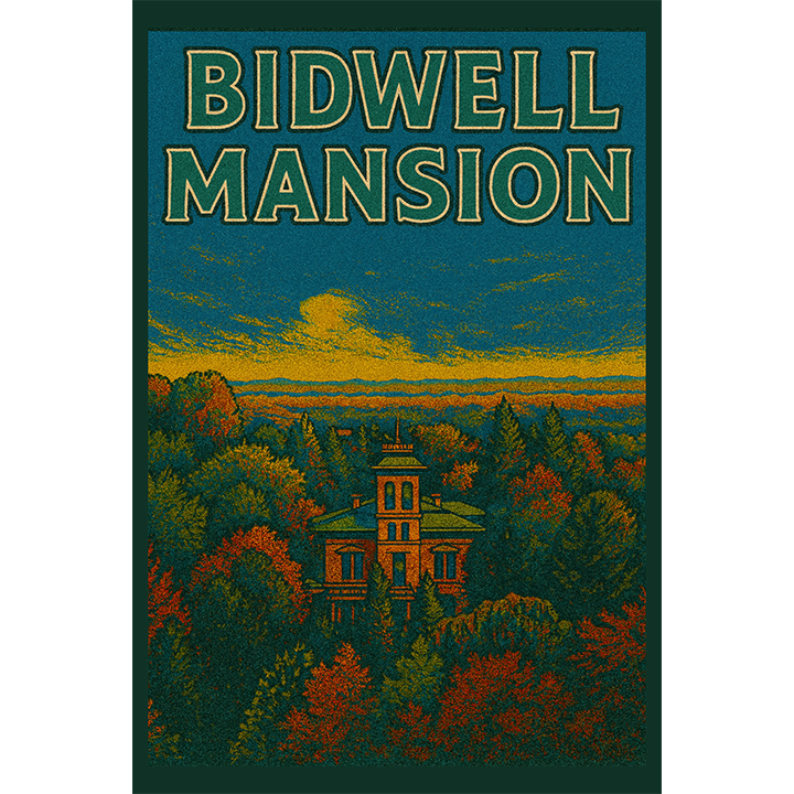 Bidwell Mansion from Above #153
