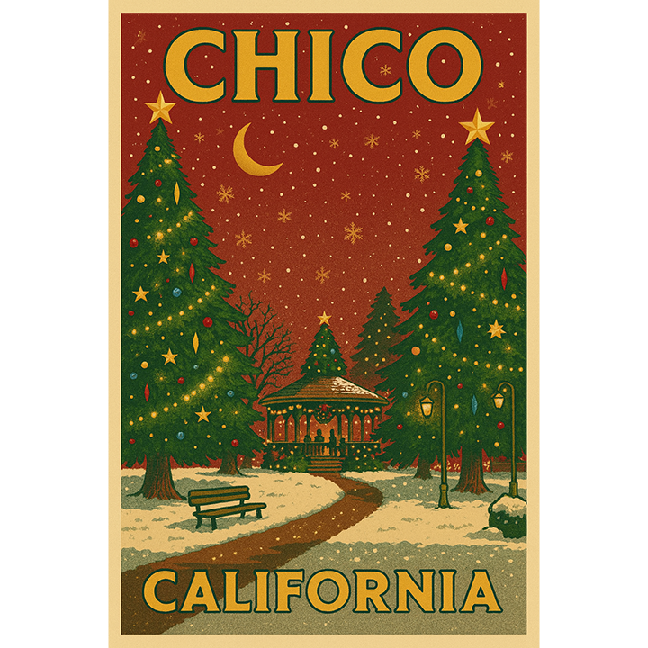 Vintage Chico City Plaza Christmas #175