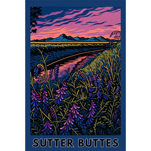 Sutter Buttes #1 - 131