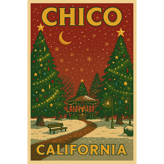 Vintage Chico City Plaza Christmas #175