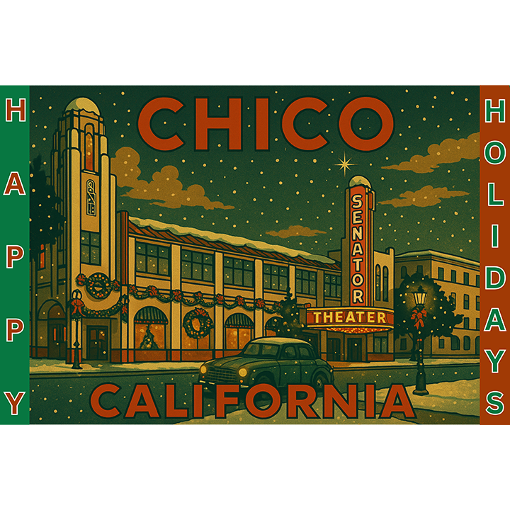 Chico's Vintage Senator Theater Christmas #176