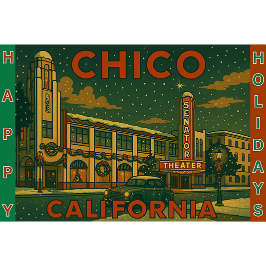 Chico's Vintage Senator Theater Christmas #176