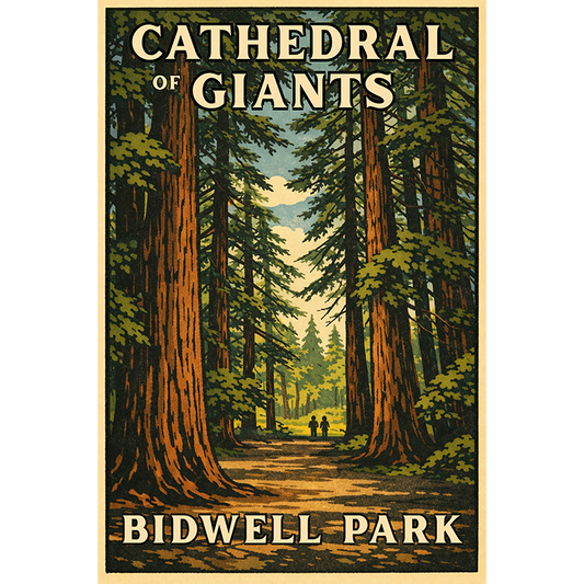 Cathedral of Giants, Bidwell Park #199